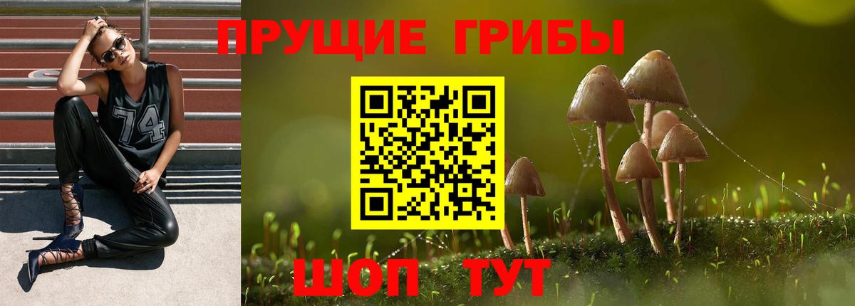 Ногинск  Псилоцибиновые грибы Cubensis  купить   Галлюциногенные грибы мицелий  Вход с VPN 